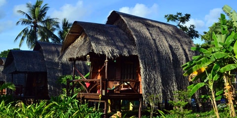 Домик в пальмовой роще, остров Ко Ланта, Таиланд