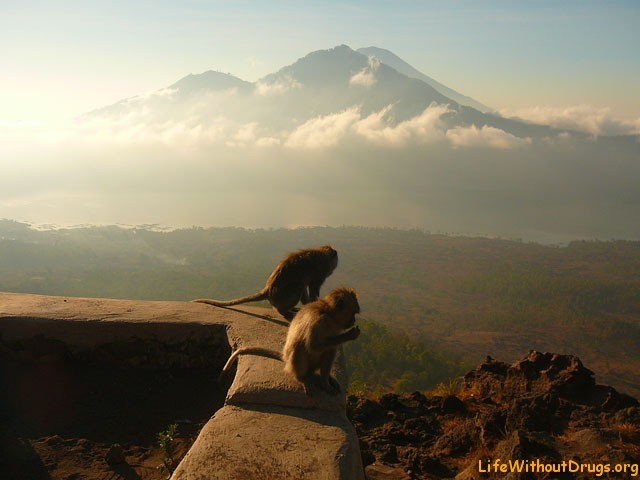 Горы и вулканы Бали - Gunung Batur
