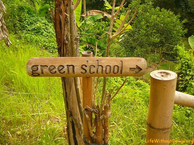 Зеленая Школа Фото