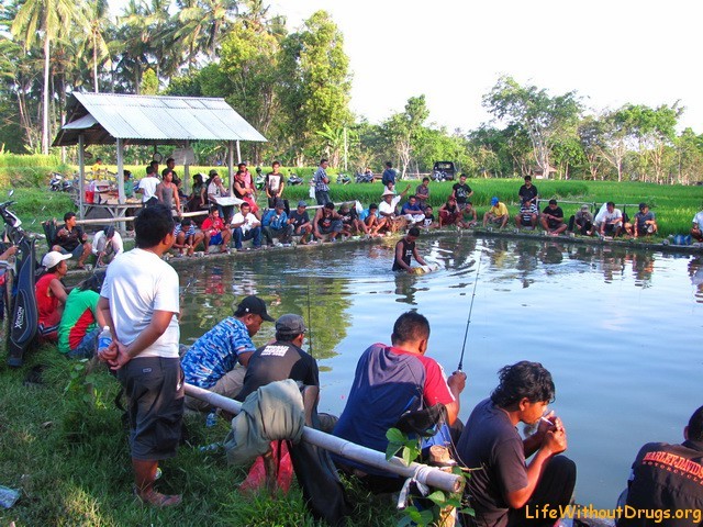 Ловля рыбы на Бали