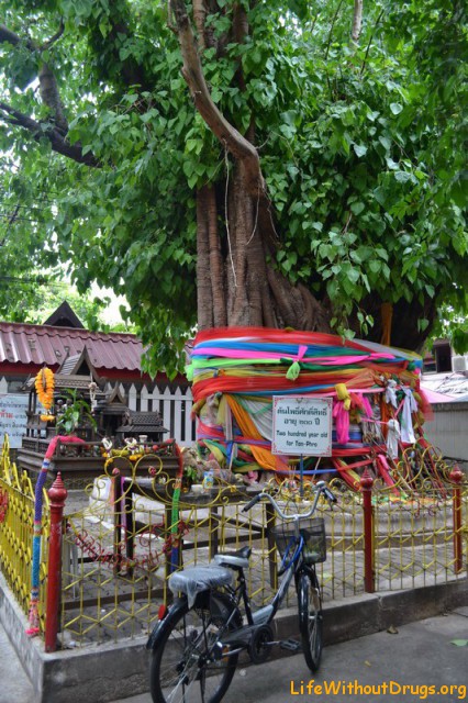 Старый добрый Каосан роад - Бангкок