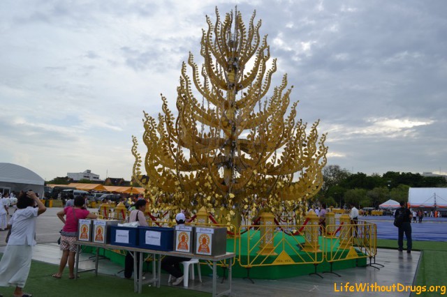 Как празднуют день рождения Будды в Бангкоке?