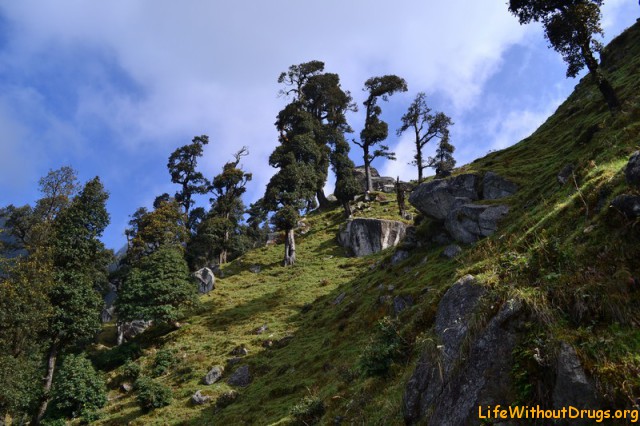 Прогулка по Гималаям - путь в Триунд 