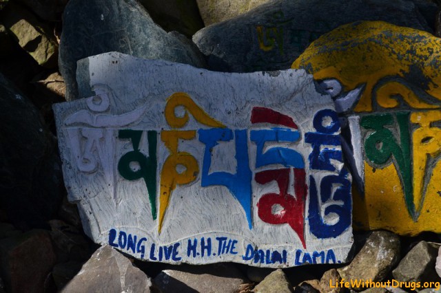 Свободу Тибету! Долгой жизни Далай Ламе!