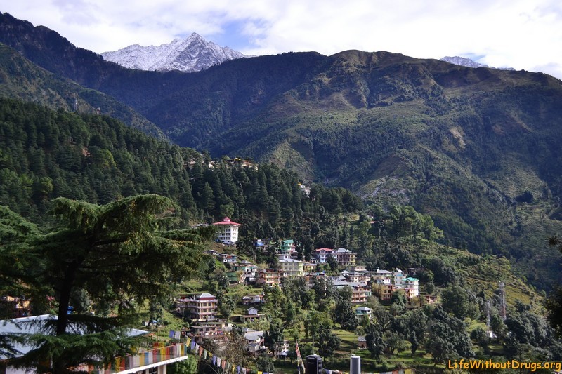 Дхарамсала, Гималаи