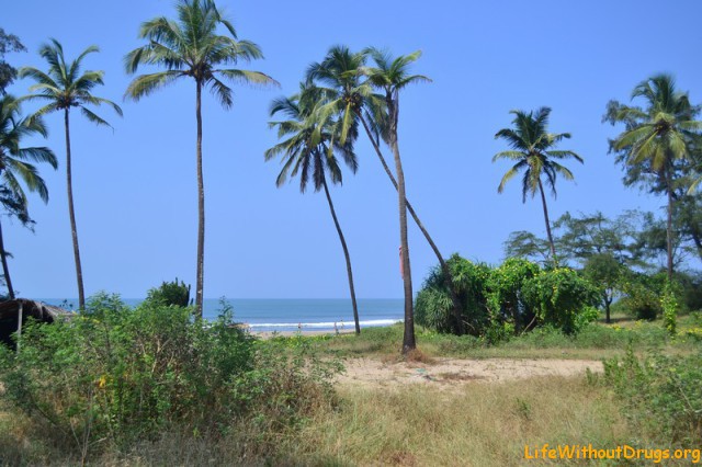 Солнце, пальмы, длинные песочные пляжи и море Гоа