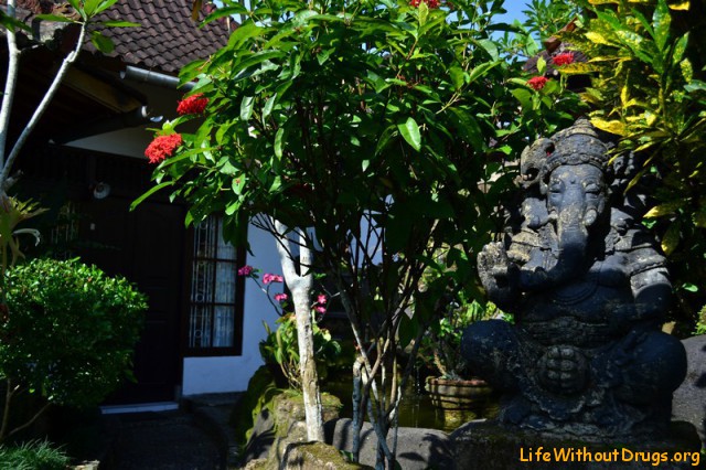 Наш дом на Бали