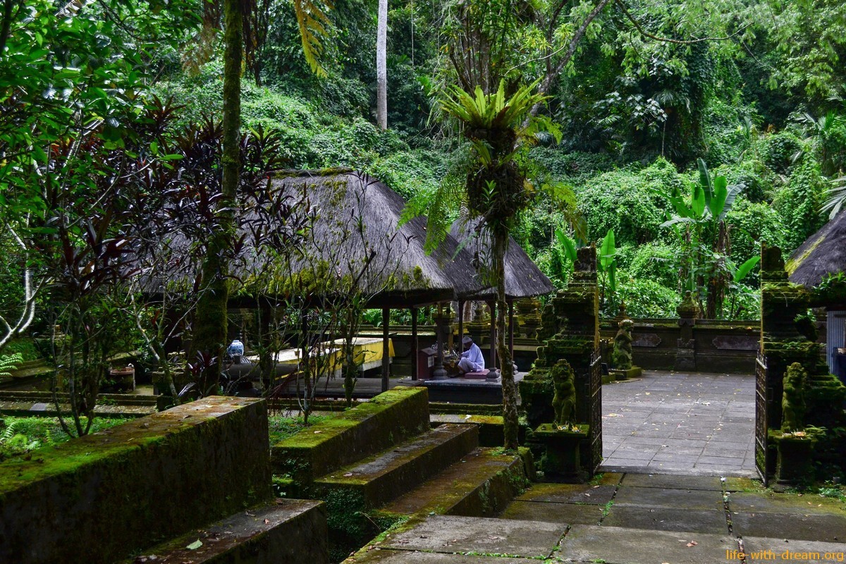 Самые красивые рисовые террасы Jаti Luwih и храм у подножия горы Батукару
