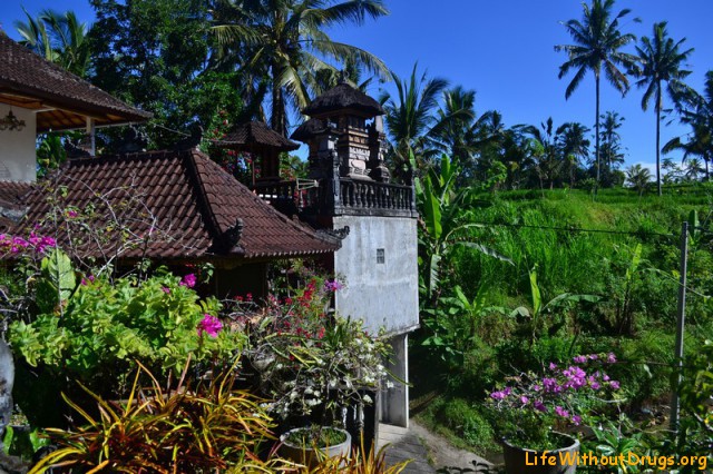 Наш дом на Бали