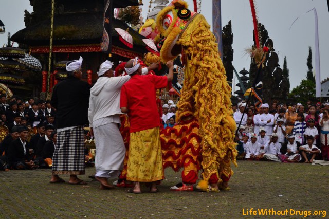 Праздник на Бали фото