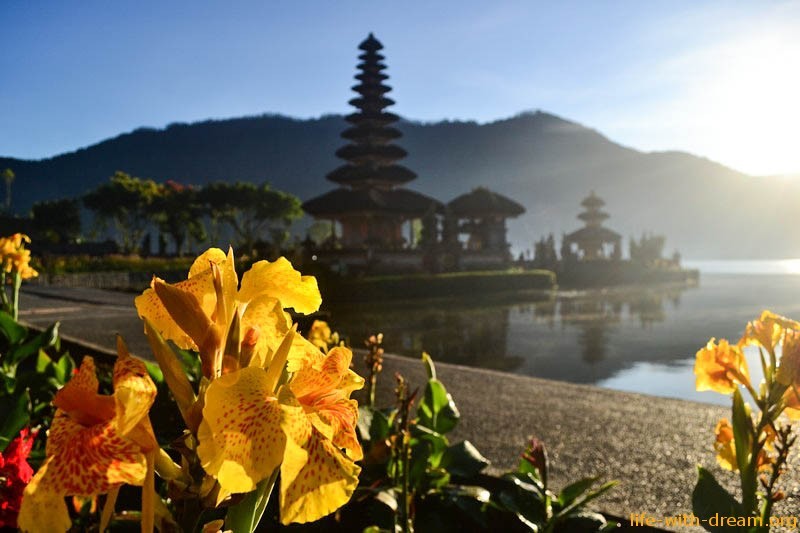 Бедугул. Живем на острове Бали, среди клубничных плантаций, святых озер и тумана.