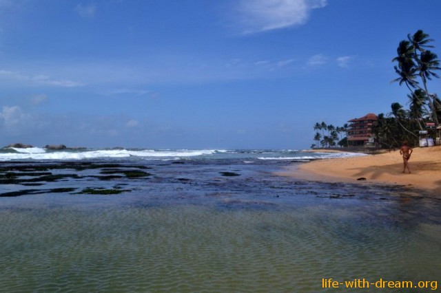 Шри Ланка  фото