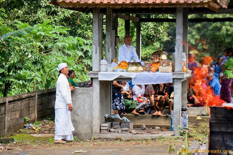 Новая асса или дачники на бали. Кремация на Бали. Церемония кремации на Бали. Кремация на Бали Насти.