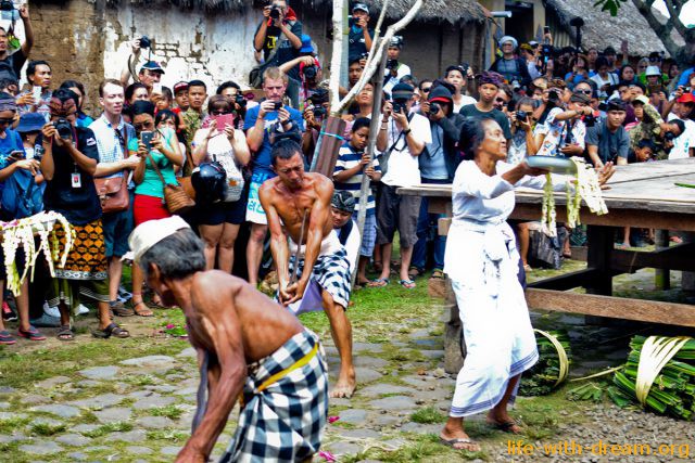 Ритуальные бои в деревне Тенганан и церемония Perang Pandan