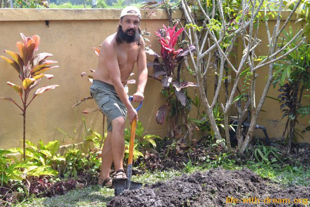 Садоводы-любители или наши огородные эксперименты на Бали
