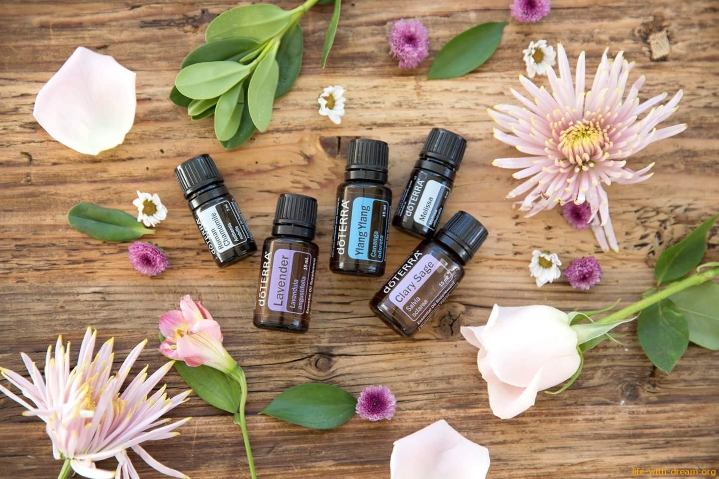 Масла дотерра. Эфирные масла ДОТЕРРА. Аромамасла DOTERRA. Левзея ДОТЕРРА. Nootka ДОТЕРРА.